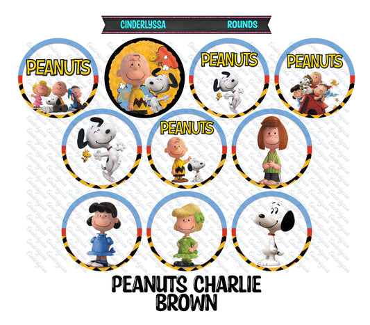 3 inch Round: Peanuts Charlie Brown Cardstock Only for freshies -NO MOLD: Silicone Mold, for Aroma Bead Molds,Car Freshener, Premium Cardstock Image