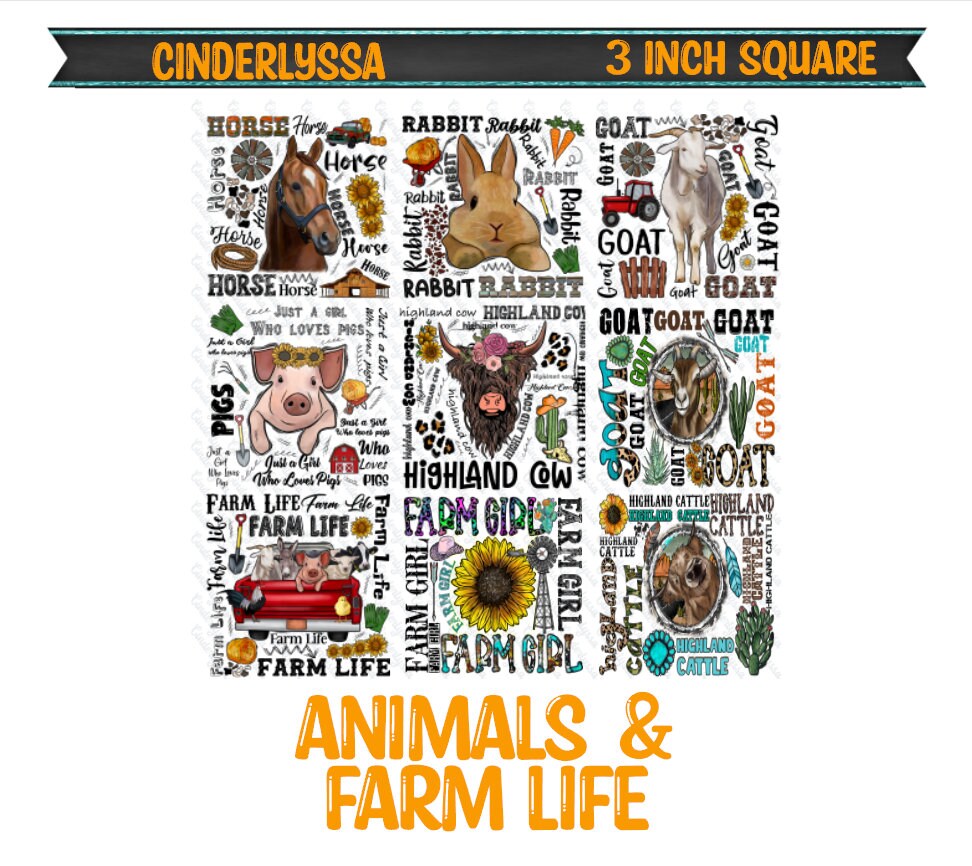 3 inch Square: Animals & Farm Life Theme Cardstock/Picture With Beveled Edge Silicone Mold, Aroma Bead Molds, Car Freshener Mold